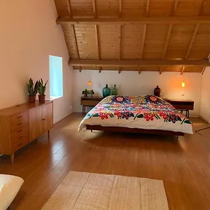 Bed & Breakfast Tanti Baci! Maastricht